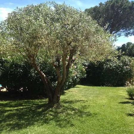 Villa 8 Persons At 300 Meters From The Sea Grimaud